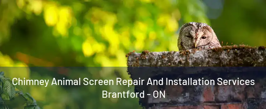 Chimney Animal Screen Repair And Installation Services Brantford - ON