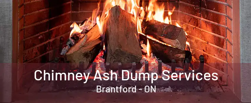 Chimney Ash Dump Services Brantford - ON