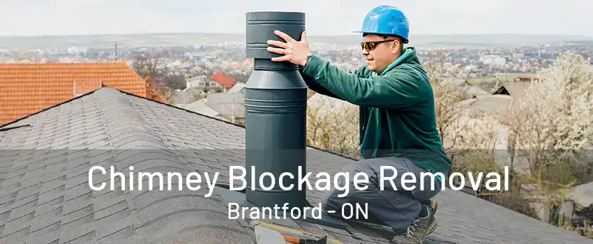 Chimney Blockage Removal Brantford - ON