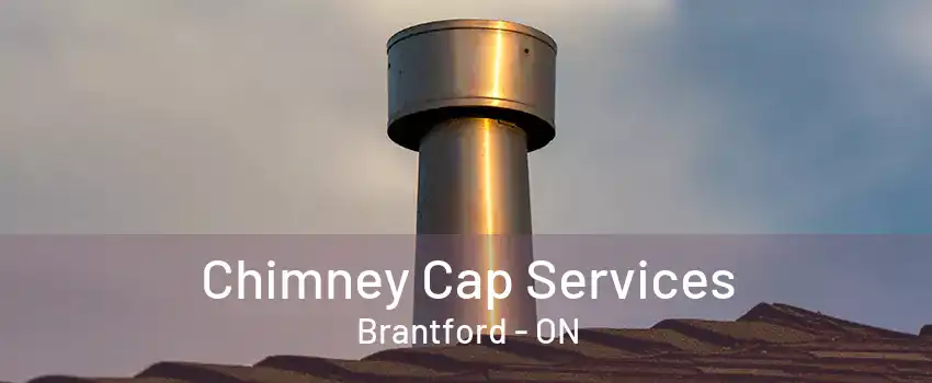 Chimney Cap Services Brantford - ON