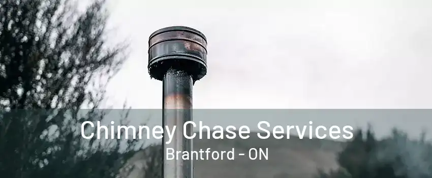 Chimney Chase Services Brantford - ON