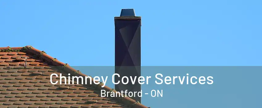 Chimney Cover Services Brantford - ON