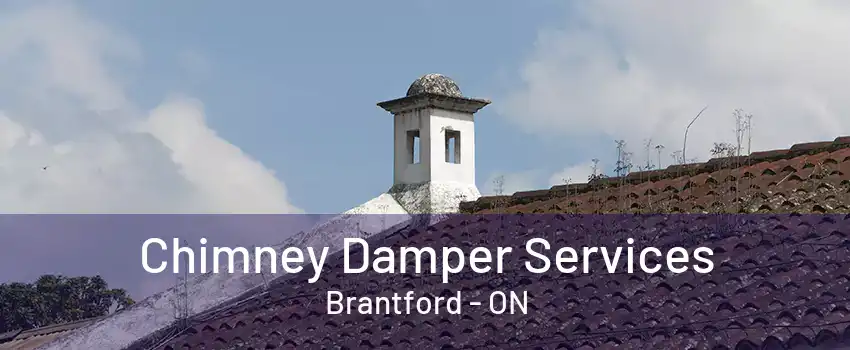 Chimney Damper Services Brantford - ON