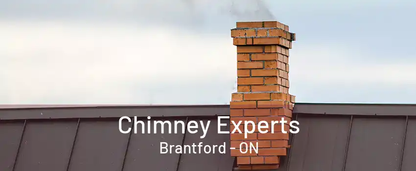 Chimney Experts Brantford - ON