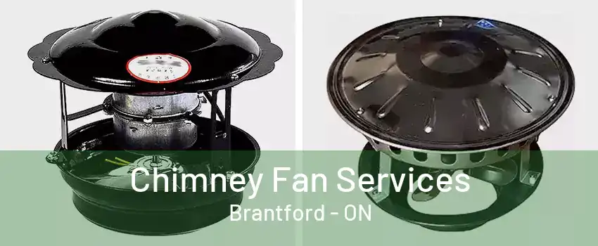 Chimney Fan Services Brantford - ON