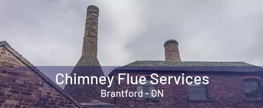 Chimney Flue Services Brantford - ON