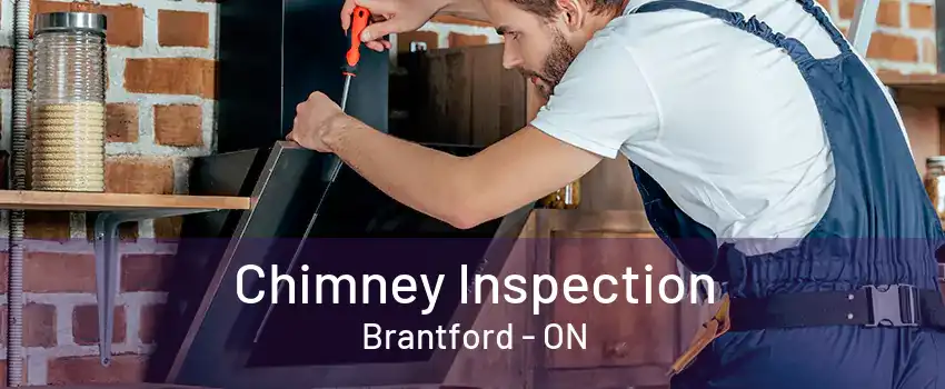 Chimney Inspection Brantford - ON