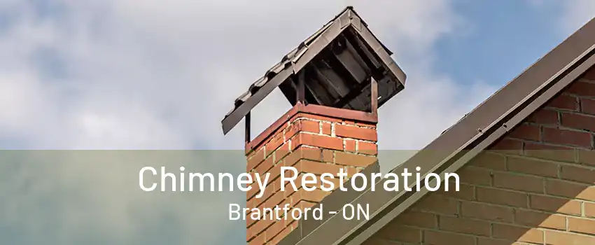 Chimney Restoration Brantford - ON