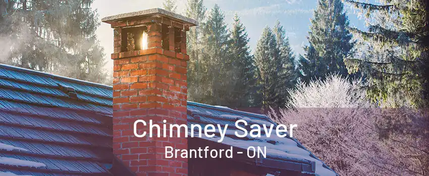 Chimney Saver Brantford - ON