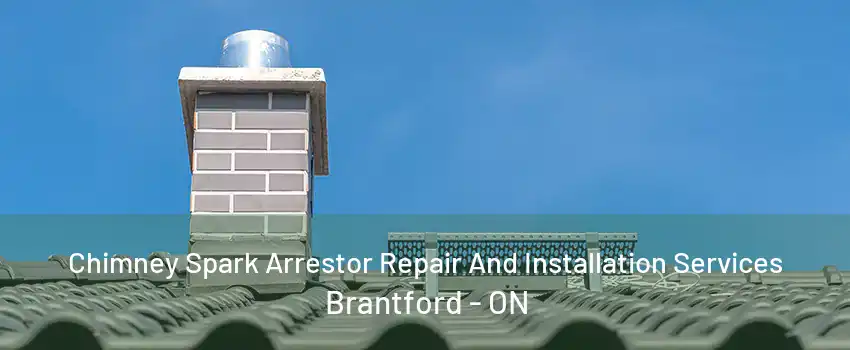 Chimney Spark Arrestor Repair And Installation Services Brantford - ON