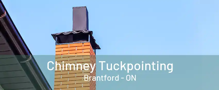 Chimney Tuckpointing Brantford - ON