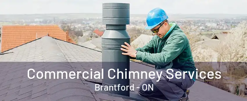 Commercial Chimney Services Brantford - ON