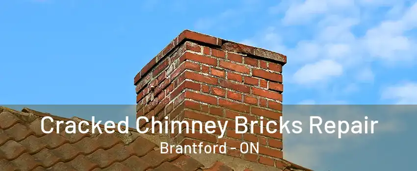 Cracked Chimney Bricks Repair Brantford - ON