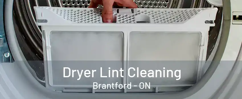 Dryer Lint Cleaning Brantford - ON