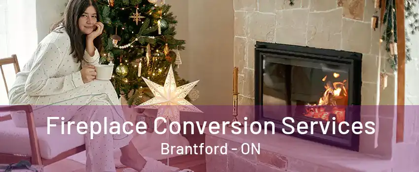 Fireplace Conversion Services Brantford - ON