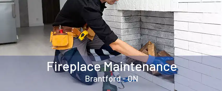 Fireplace Maintenance Brantford - ON