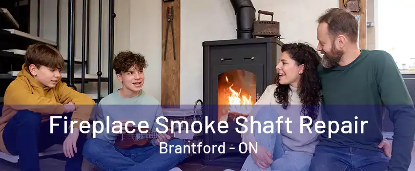 Fireplace Smoke Shaft Repair Brantford - ON