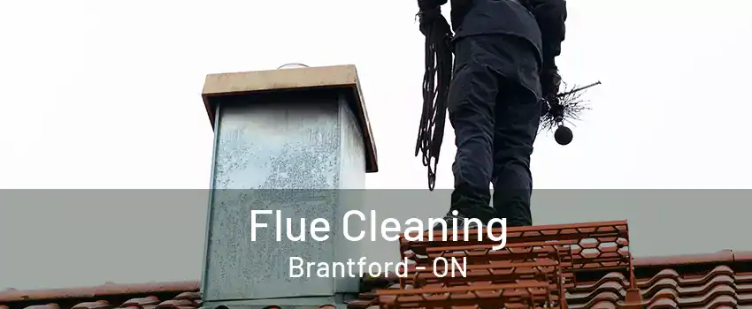 Flue Cleaning Brantford - ON