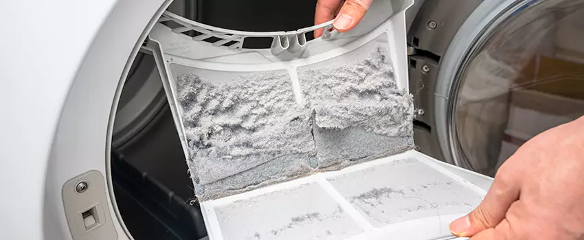 Best Dryer Lint Removal Company in Brantford, Ontario