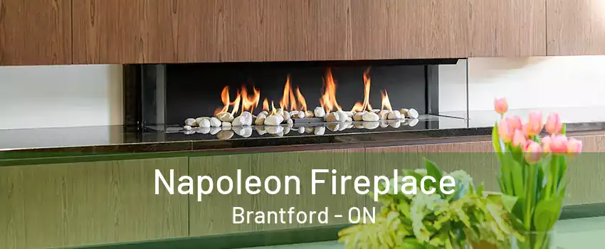 Napoleon Fireplace Brantford - ON